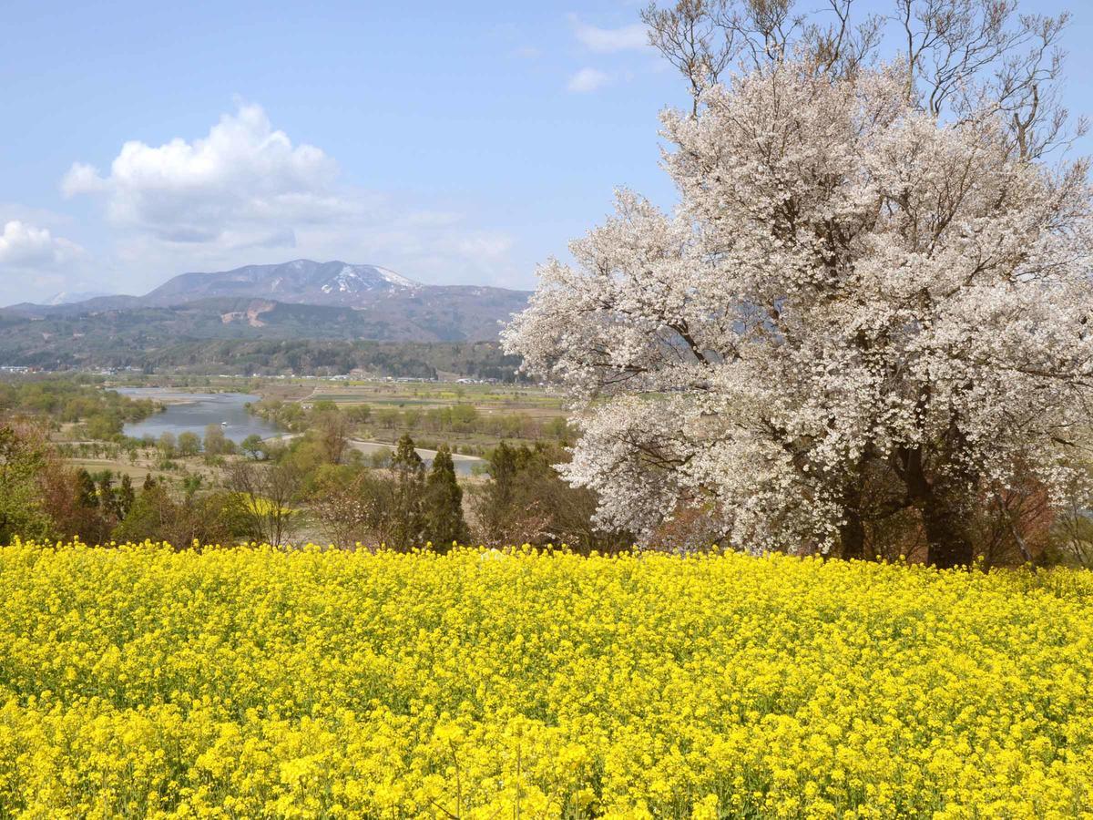 Togari Onsen Alpen Plaza Otel Iiyama Dış mekan fotoğraf